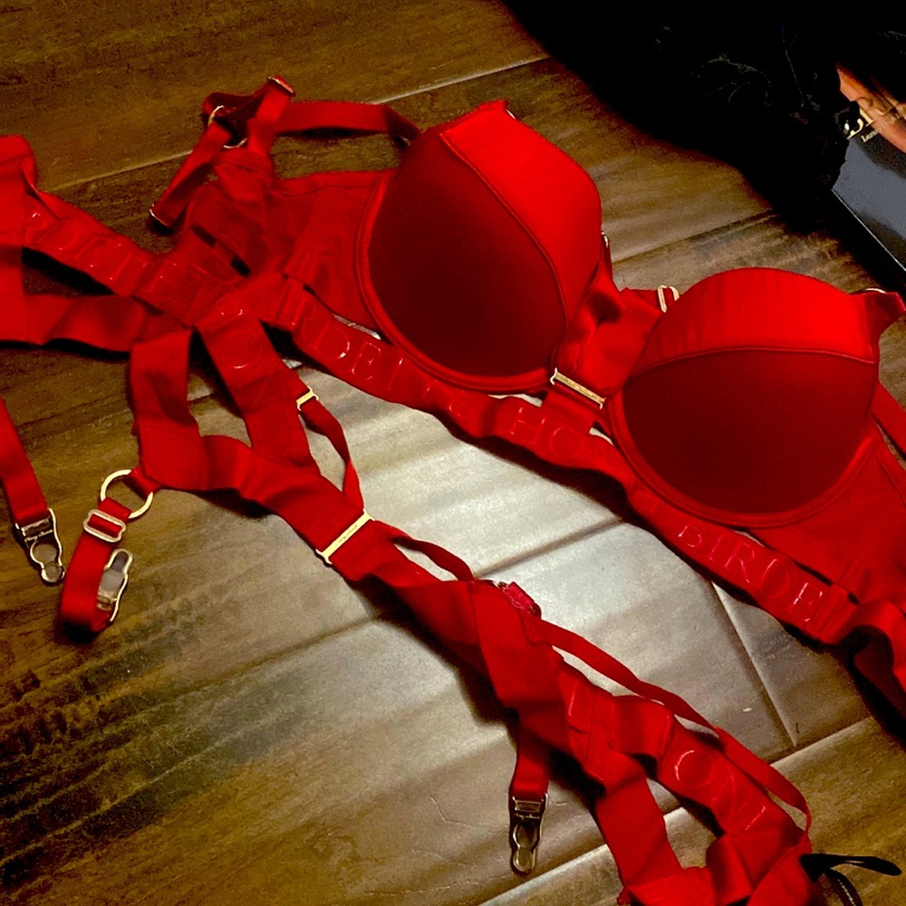 Honey Bridgette bra and garter